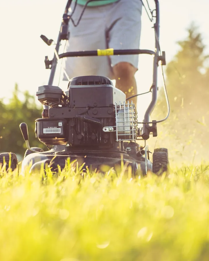 Close view of a mower cutting sunlit grass, used as general lawn maintenance atmosphere.