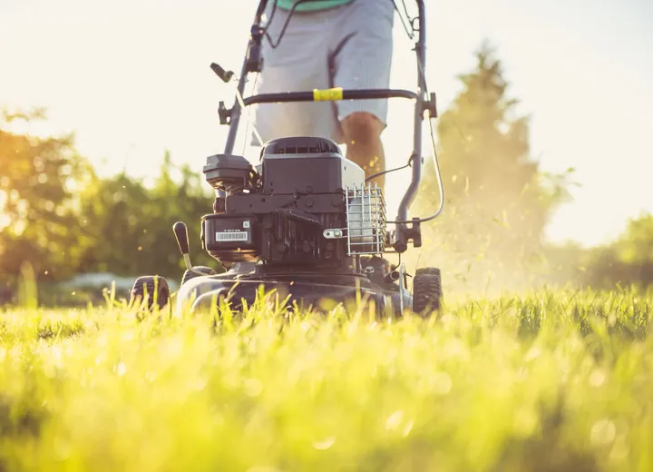 Close view of a mower cutting sunlit grass, used as general lawn maintenance atmosphere.