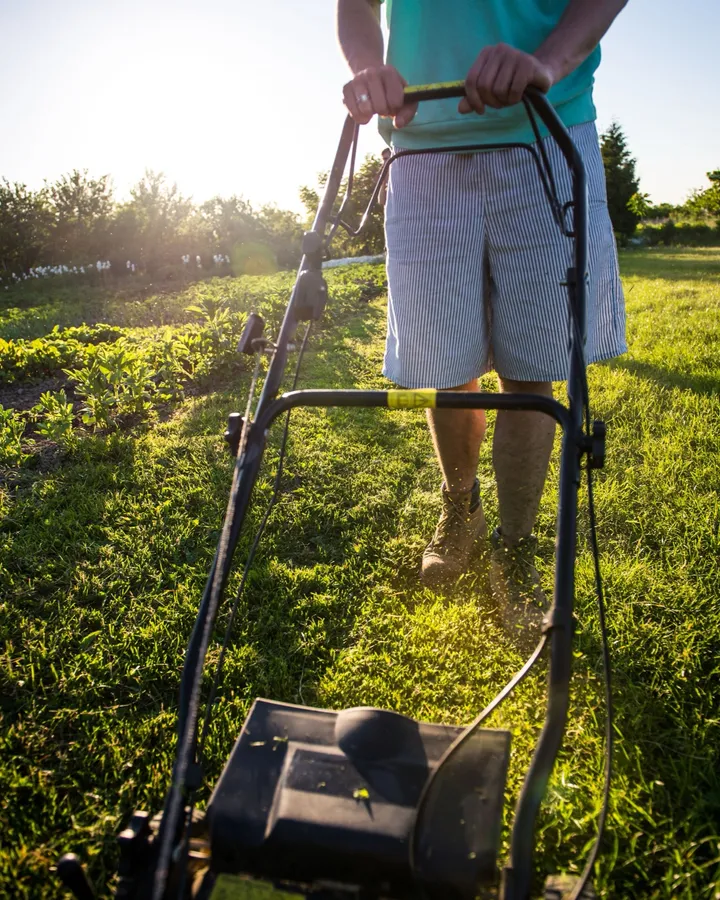 Person guiding a mower along a sunny green lawn, used as general seasonal property care atmosphere.