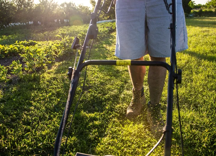 Person guiding a mower along a sunny green lawn, used as general seasonal property care atmosphere.